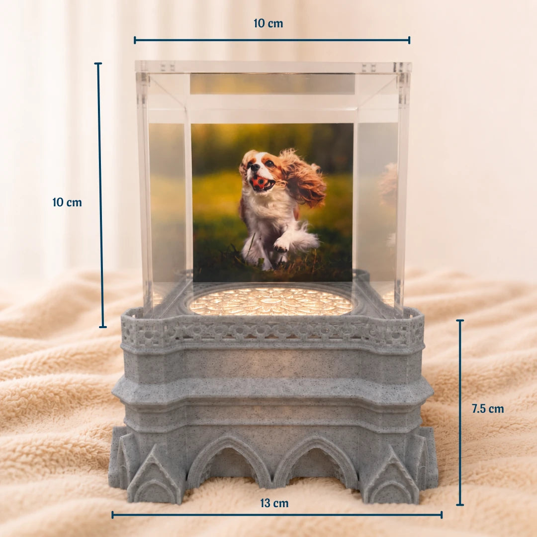 Pawever™ Sanctuary Hologram Box