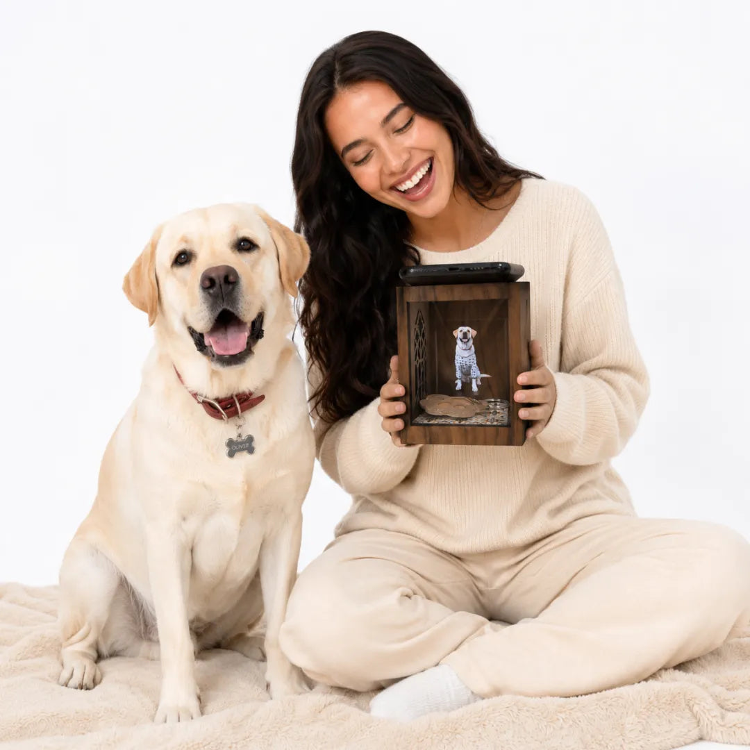 Pawever Hologram Box