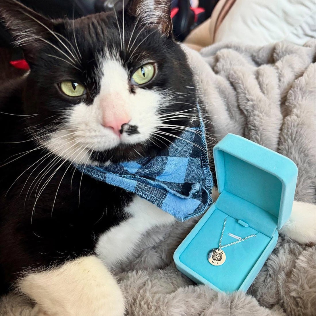 Custom Engraved Pet Face Necklace