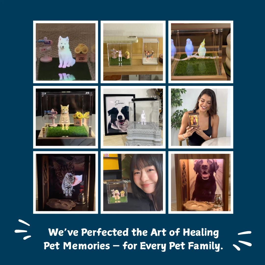 Pawever™ Everwood Hologram Box