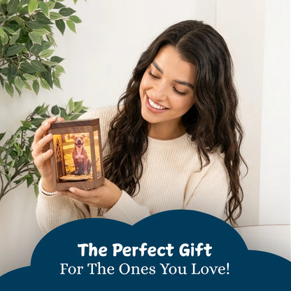Pawever™ Everwood Hologram Box