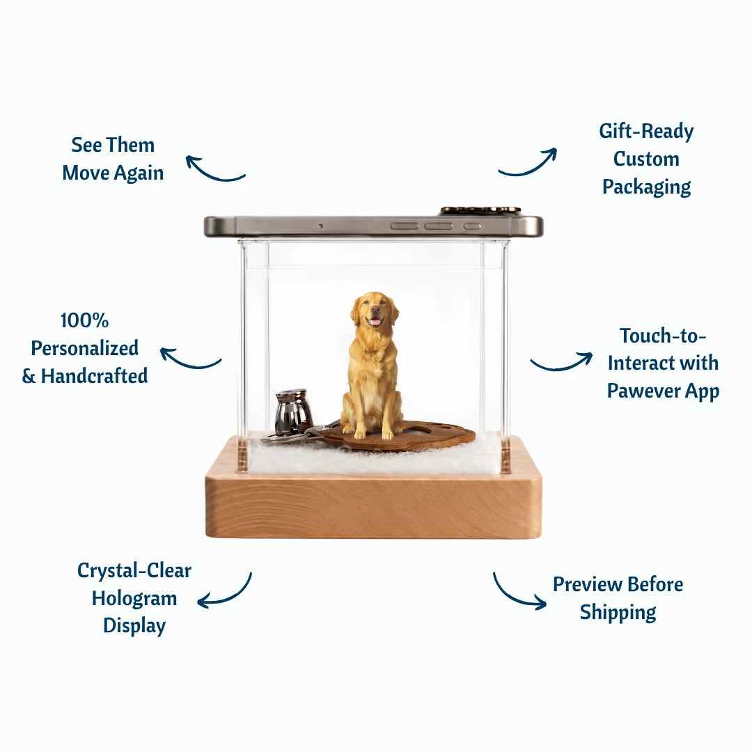 Pawever™ Crystal Hologram Box