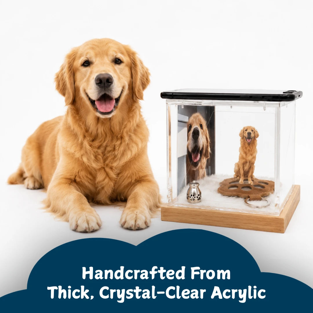 Pawever™ Crystal Hologram Box