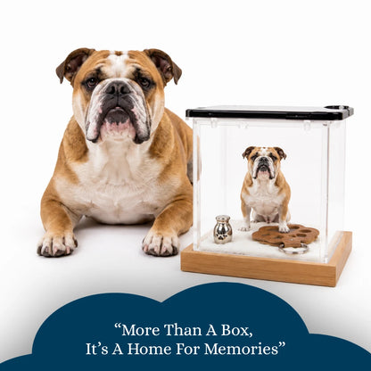 Pawever™ Crystal Hologram Box