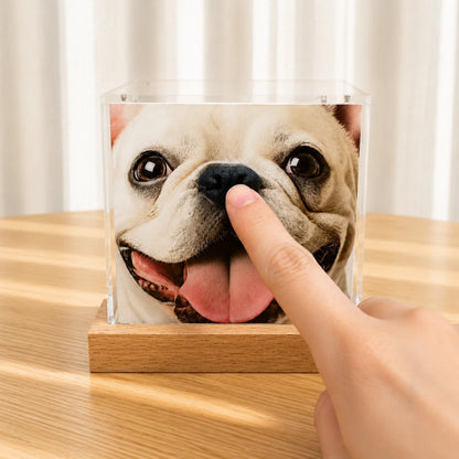 Pawever™ Crystal Hologram Box