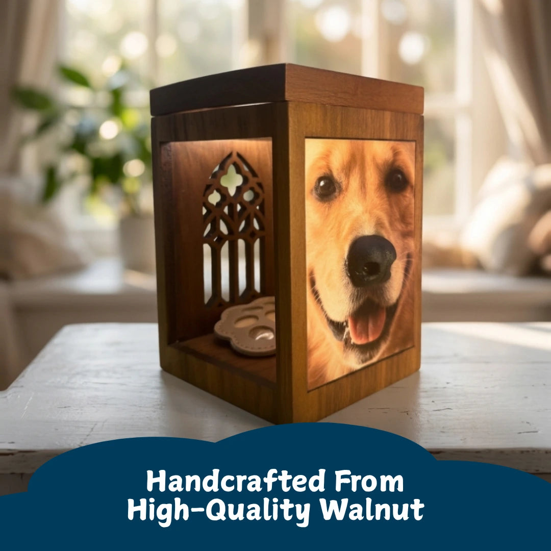 Pawever™ Everwood Hologram Box