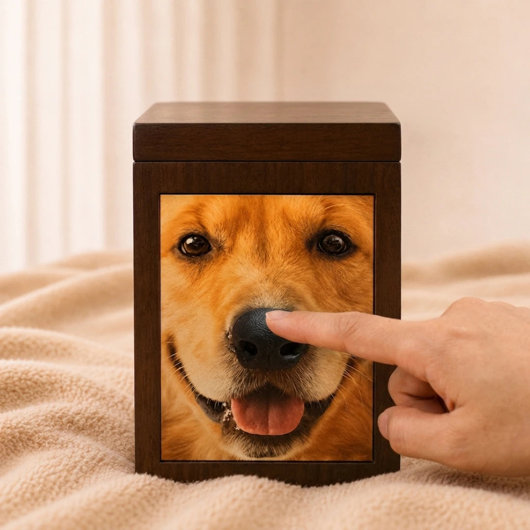 Pawever™ Everwood Hologram Box