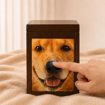 Pawever™ Everwood Hologram Box
