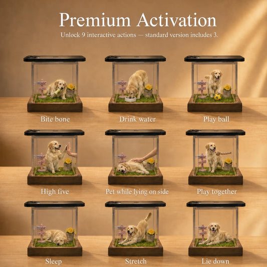 Premium Hologram Interaction Pack