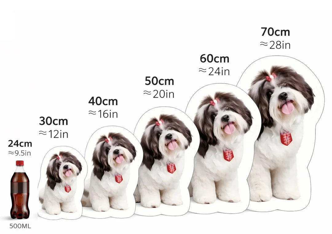 Custom Pet Pillow