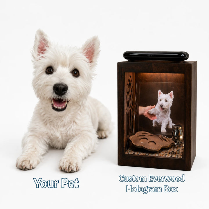 Pawever™ Everwood Hologram Box