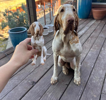 Custom Dog Figurine