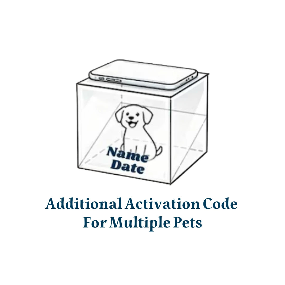 Basic Pet Hologram Code