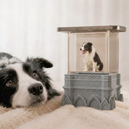 Pawever™ Sanctuary Hologram Box
